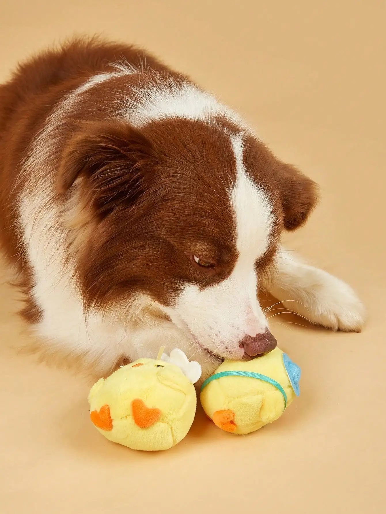 Juguete peluche dental