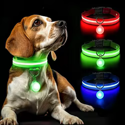 Collar luminoso para perros nocturno con LED intermitente