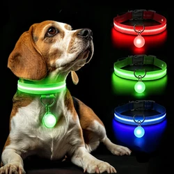 Collar luminoso para perros USB con luz LED nocturna intermitente