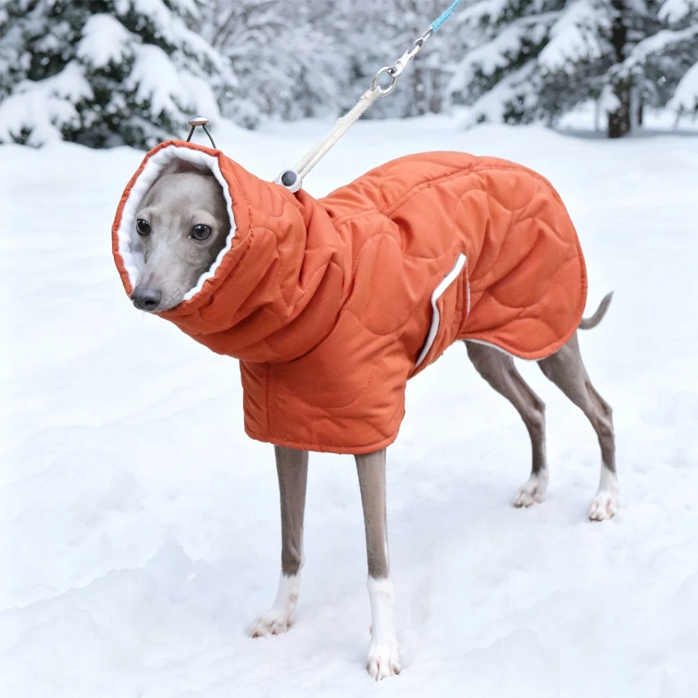 Abrigo invierno naranja algodón para perros medianos, Galgo y Whippet - imagen 3