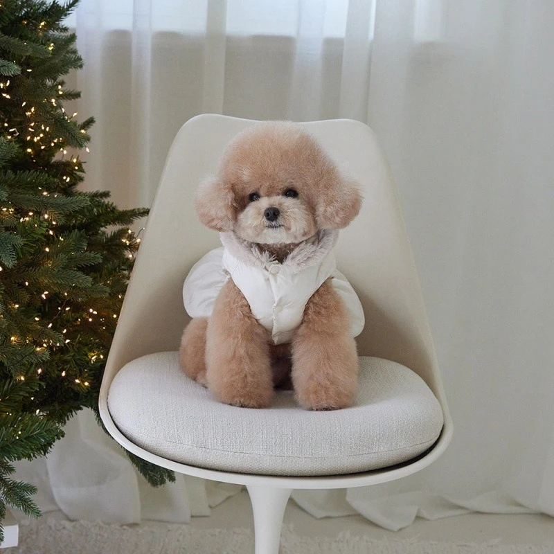 Chaqueta de algodón para cachorro