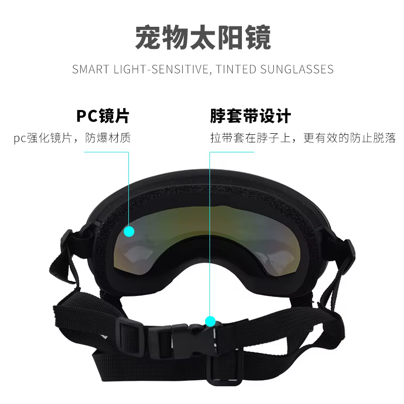 Gafas de sol para perros con lentes intercambiables y UV - imagen 4