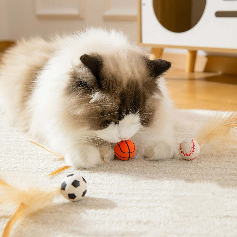 Gato jugando con pelota elástica