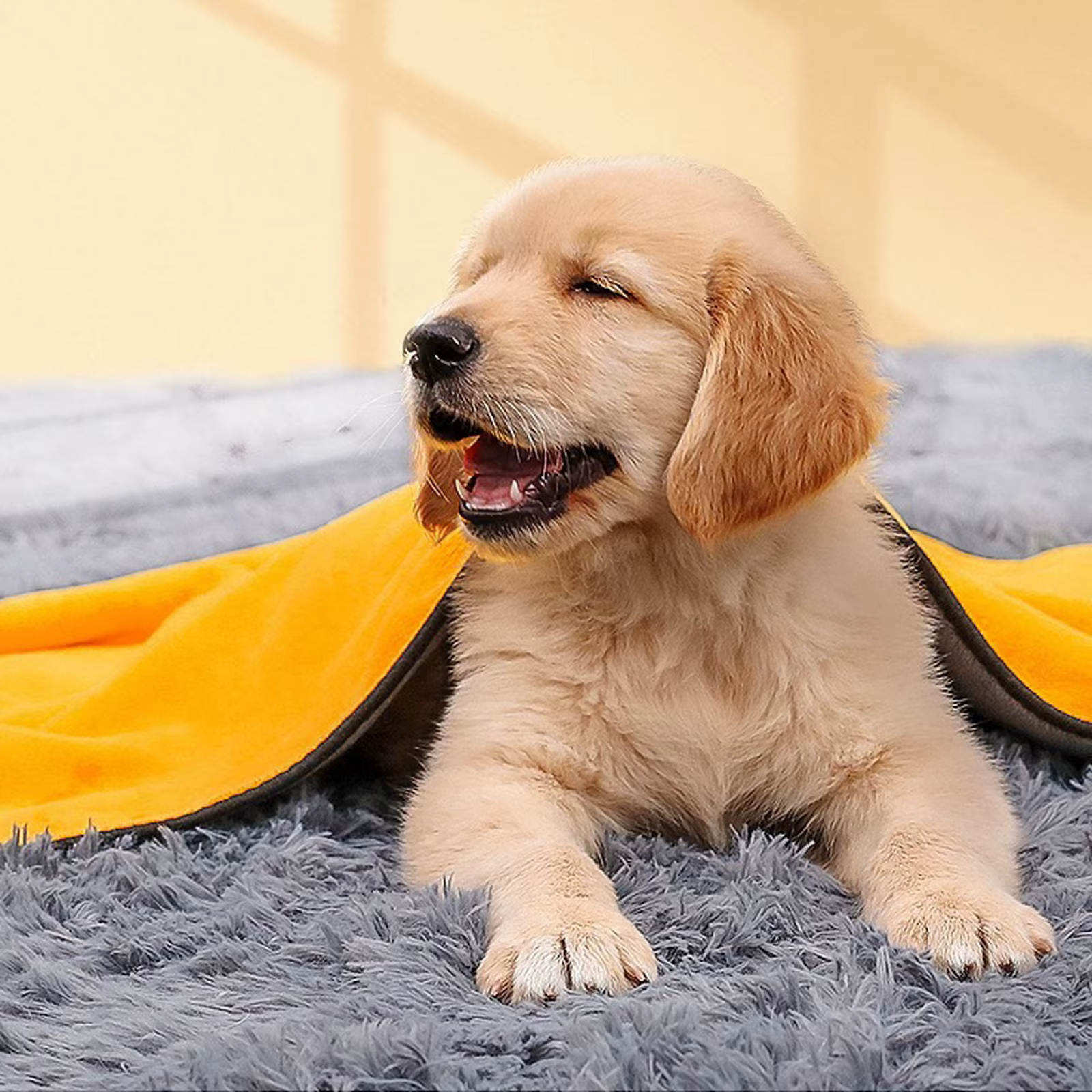 Toalla Secado Rápido Microfibra para Perros y Gatos