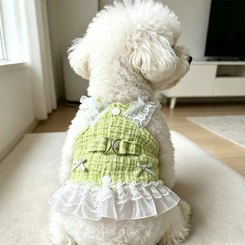 Arnés Vestido Elegante para Perros Pequeños – Teddy y Chihuahua