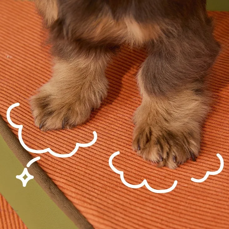 Escalera cama para perros pequeños – Desmontable y lavable - imagen 5