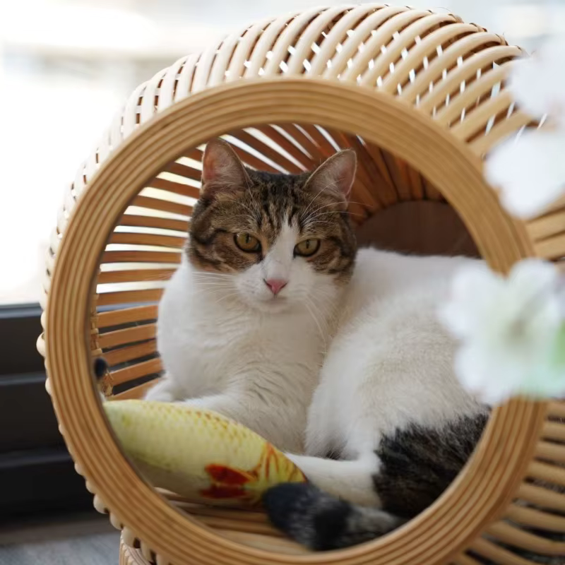 Cama nido de ratán para gatos – Semi cerrada y transpirable - imagen 3