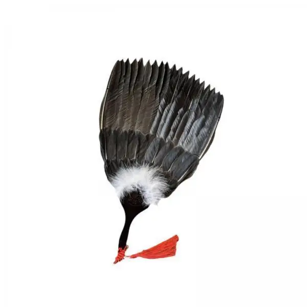 Abanico de Plum Interactivo para Gatos – Juguete Natural para Gatos