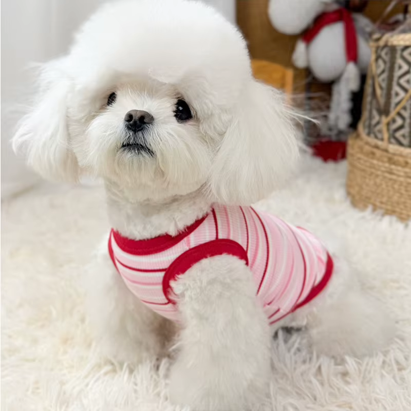 Camiseta a rayas para gatos y perros pequeños y medianos, para verano - imagen 4