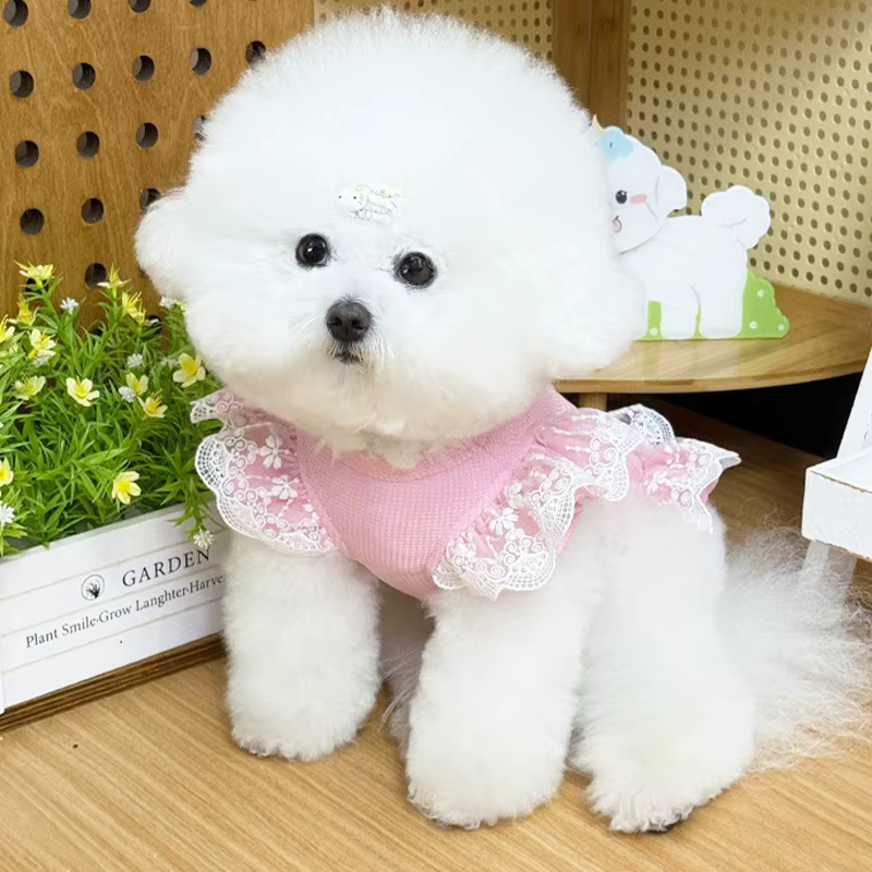 Vestido princesa para perros y gatos – Falda de encaje con brillo para Bichón - imagen 3