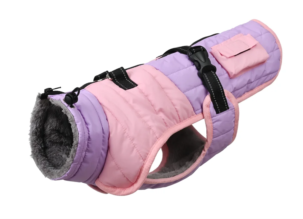 Guía de medidas para perros
