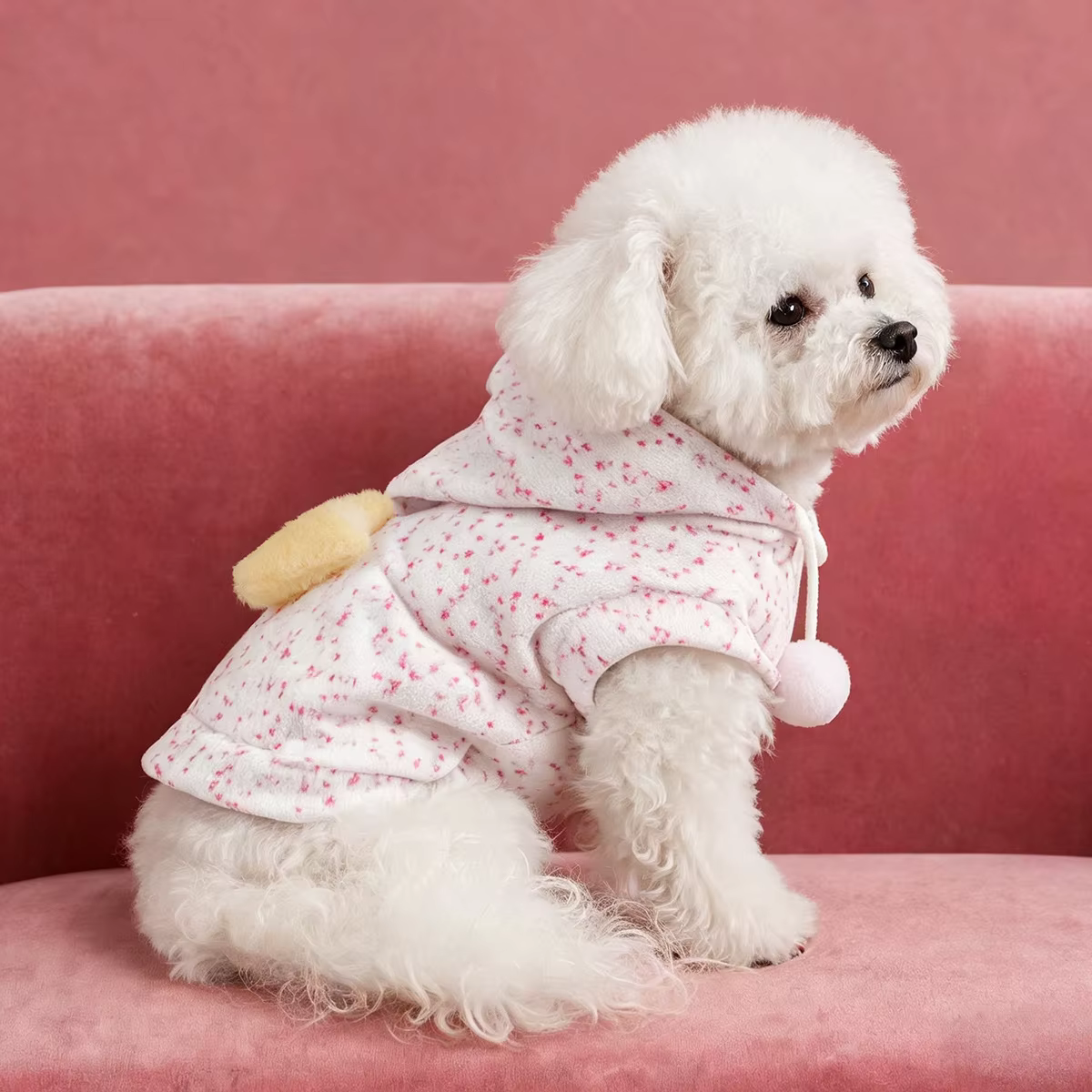 Sudadera Capucha Estrellas para Perro Pequeño – Otoño e Invierno