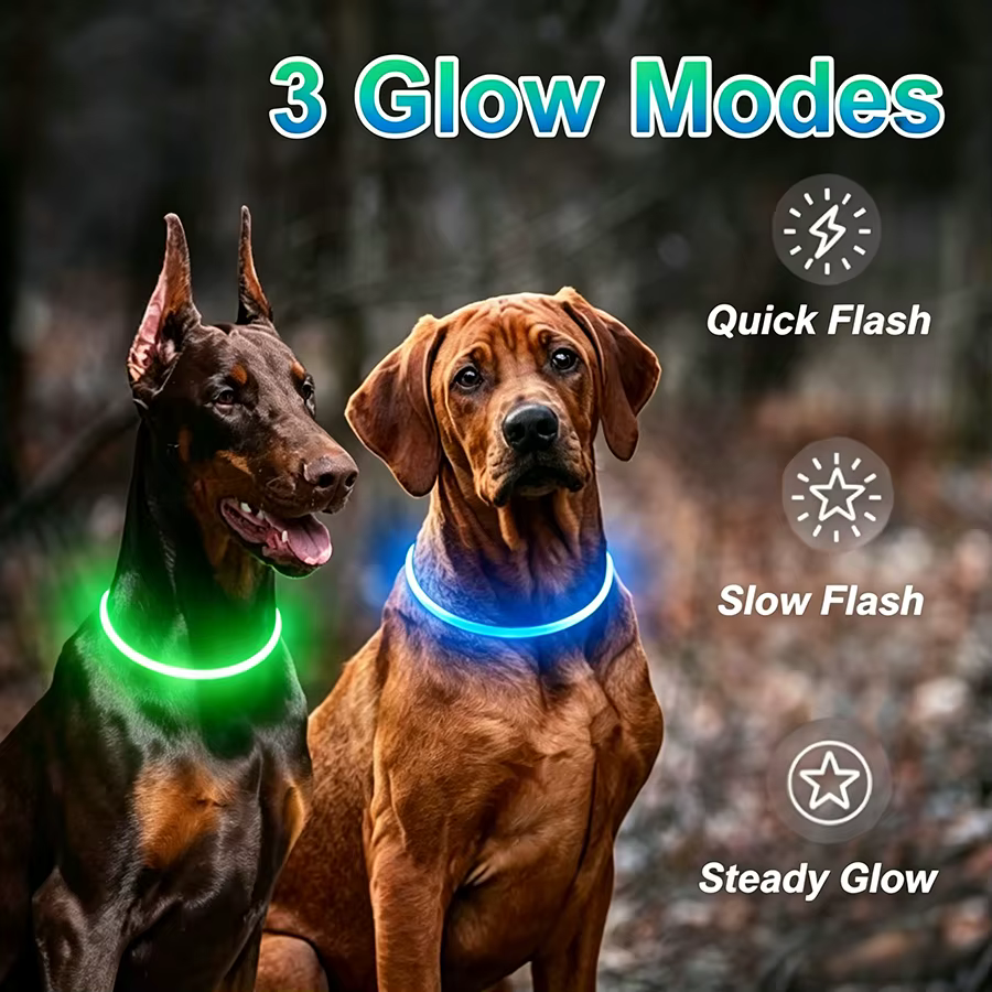 Collar LED luminoso recargable para perros y gatos nocturno - imagen 3