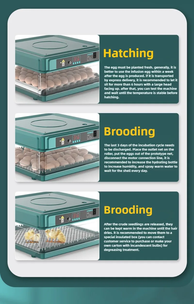 Incubadora de huevos automática verde vista frontal
