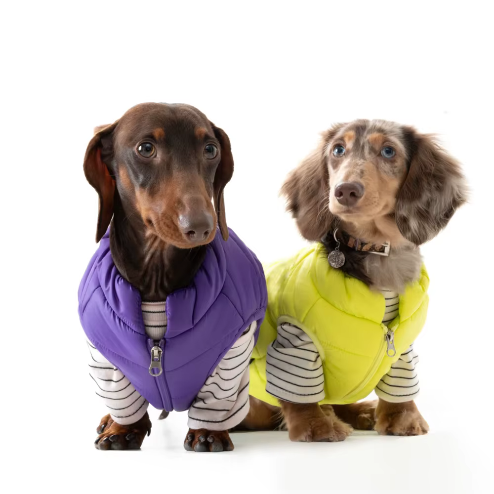 Chaqueta de invierno ligera para perros Dachshund, cortavientos cálido - imagen 4
