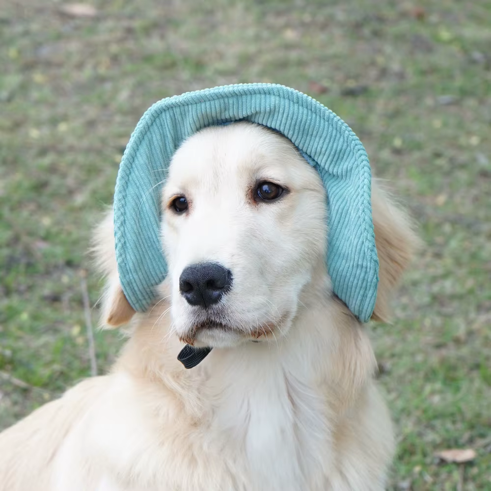 Sombrero solar veraniego para perros pequeños – Gorro de pana - imagen 5