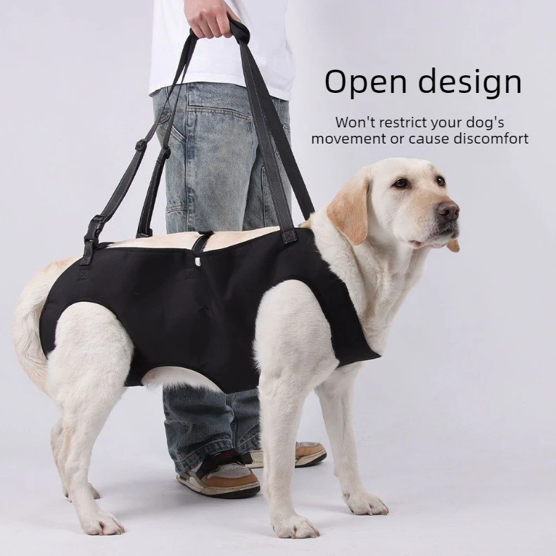 Transportín para perros con soporte ajustable