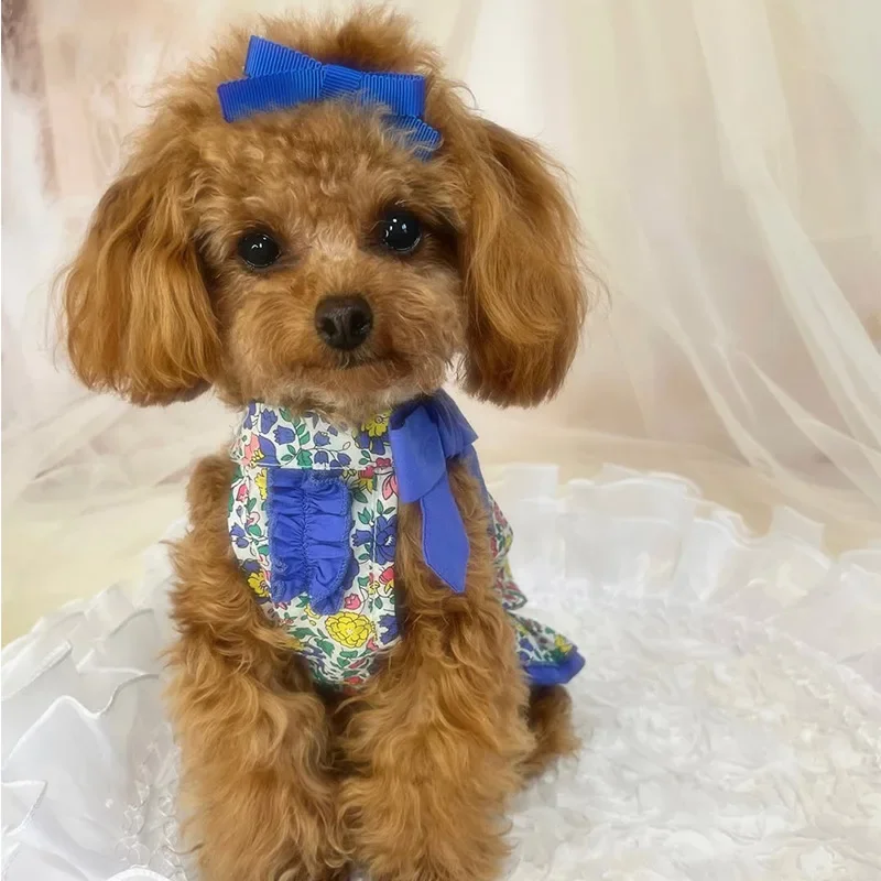 Estampado floral detalle para perros pequeños