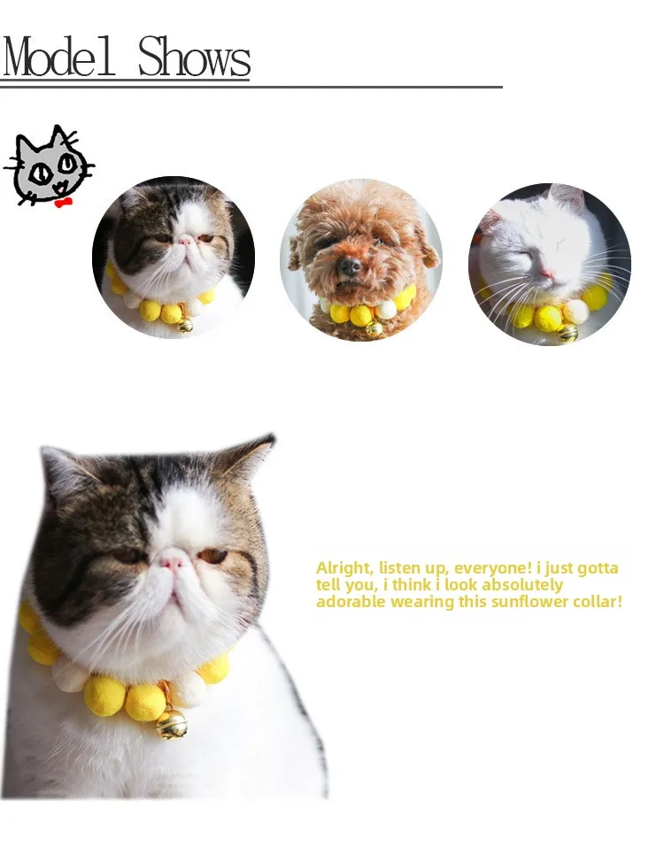Collar ajustado a cuello de perro pequeño
