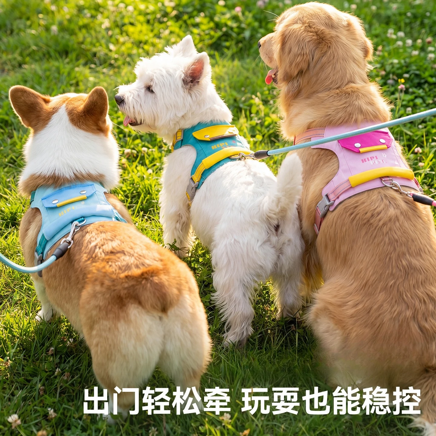 Arnés con correa reflectante ajustable para perros pequeños y medianos - imagen 5