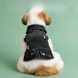 Chaleco vaquero bordado de invierno para perros pequeños y cachorros