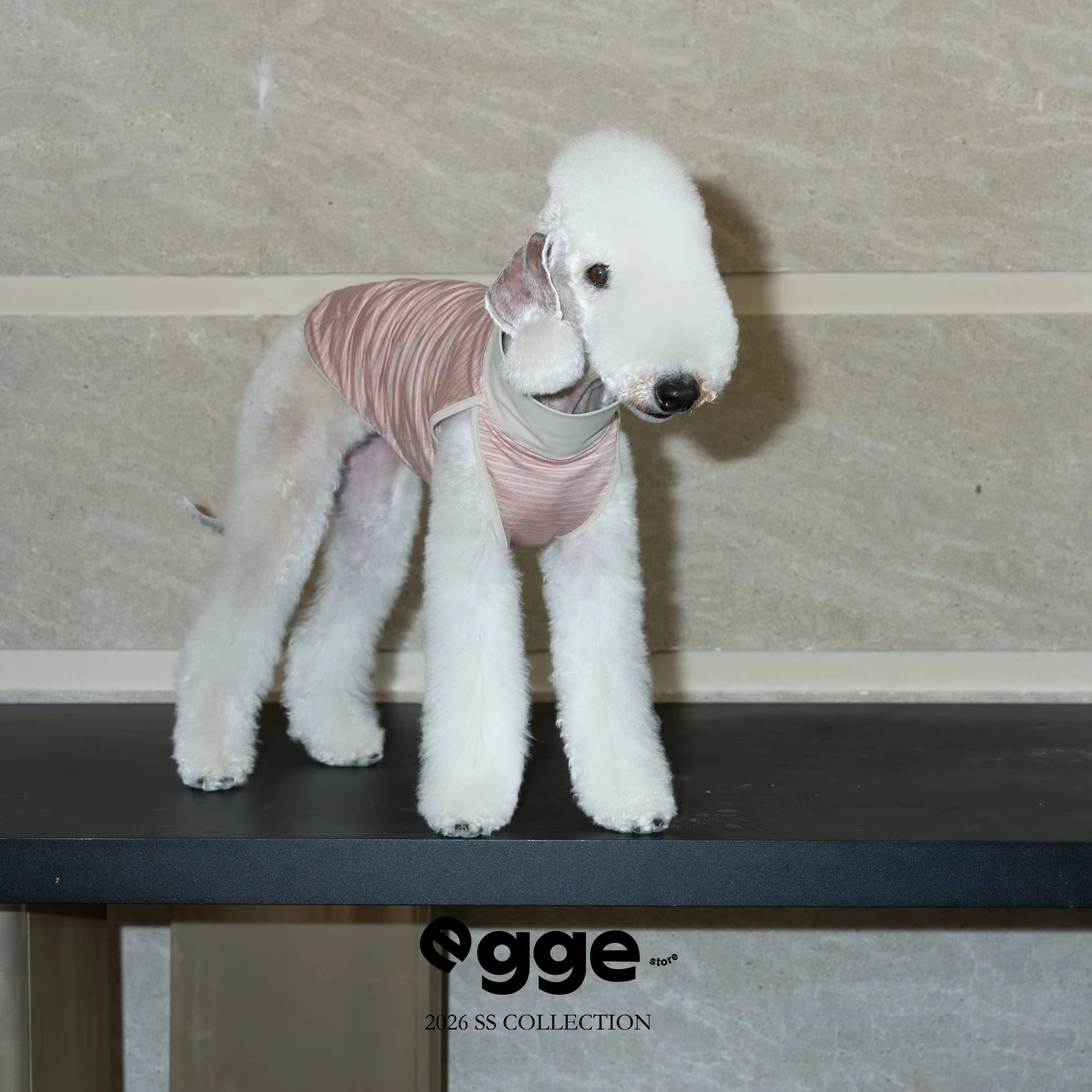 Camiseta refrescante sin mangas para Greyhound italiano y Whippet - imagen 3