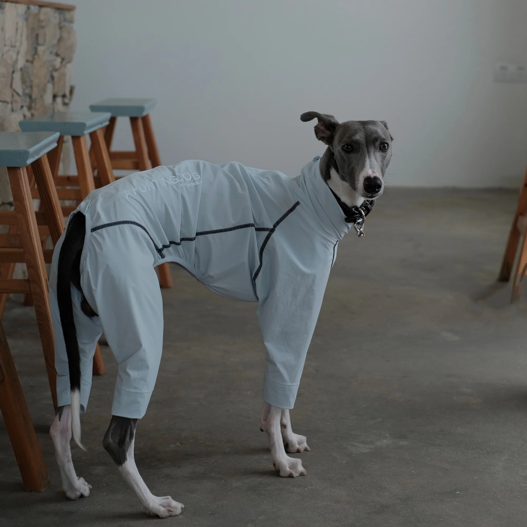 Traje de verano con protección solar UPF100+ para perro Galgo Italiano – Cubre vientre - imagen 3