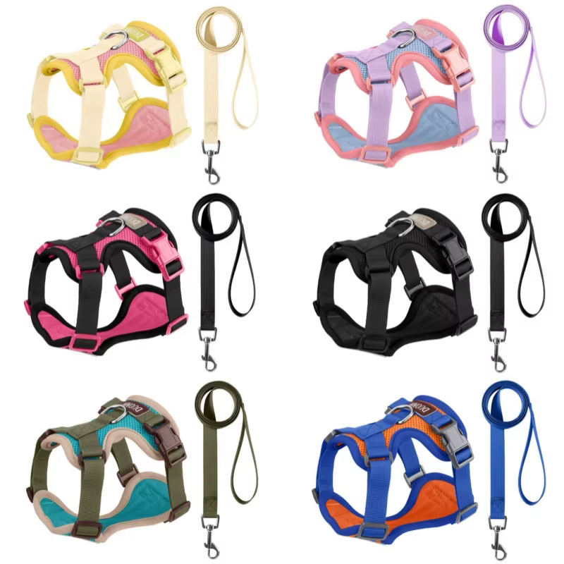 Arnés y Correa para Perros y Gatos – Set transpirable ajustable