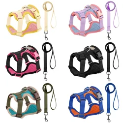 Arnés y Correa para Perros y Gatos – Set transpirable ajustable