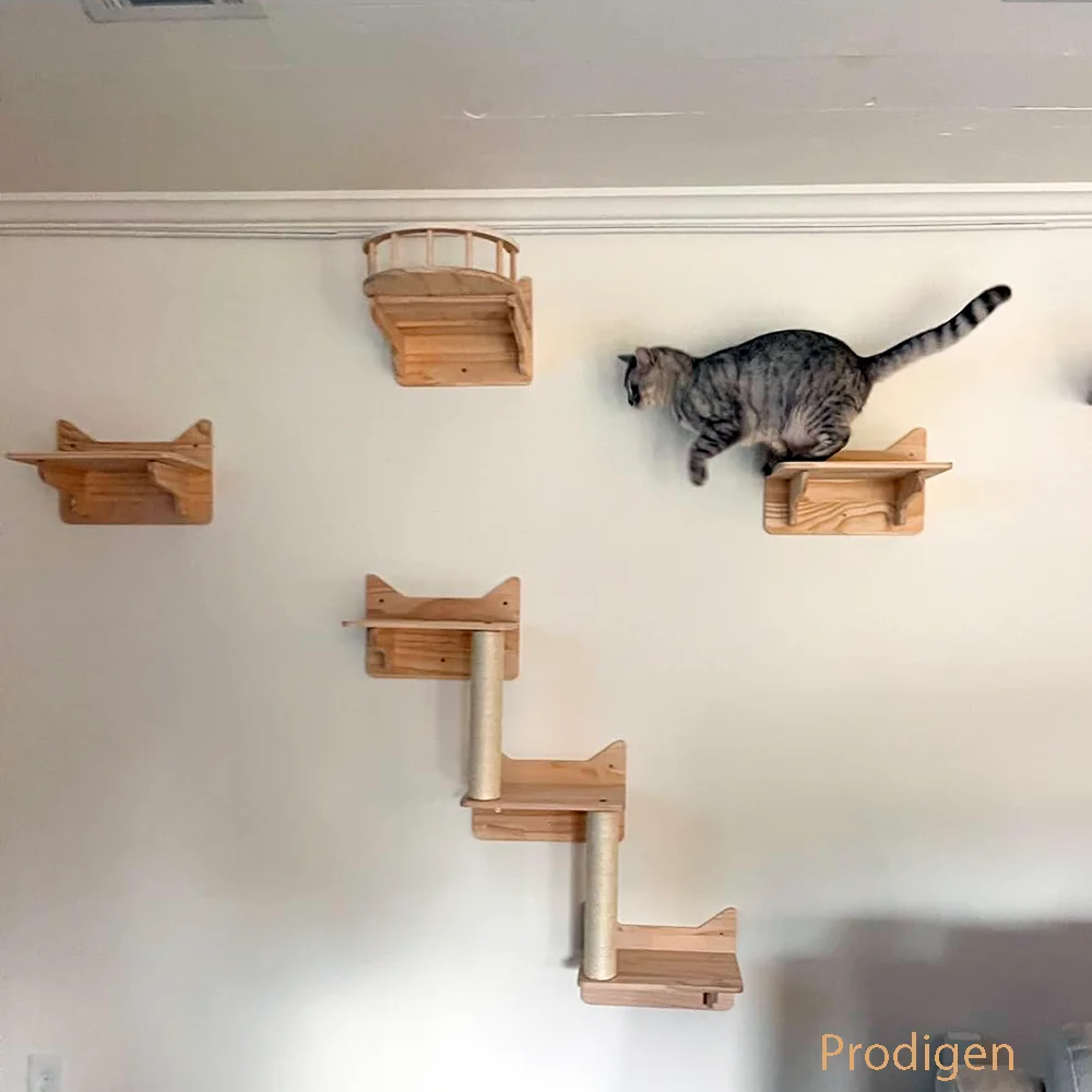 Accesorios para gatos escalando