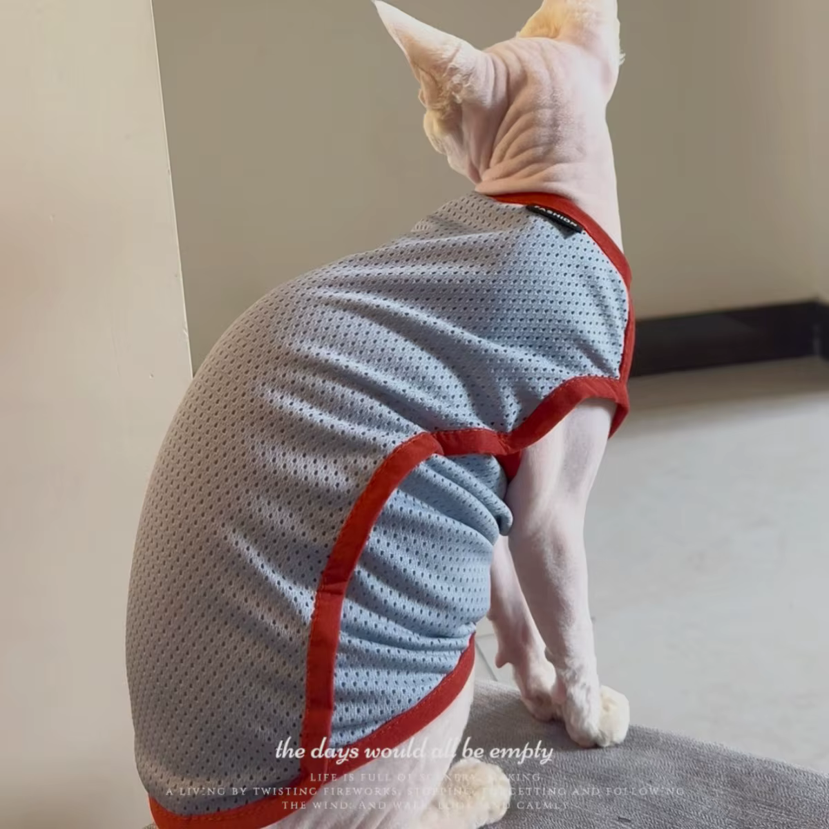 Chaleco de protección solar para gatos Sphynx – Transpirable y fresco - imagen 5