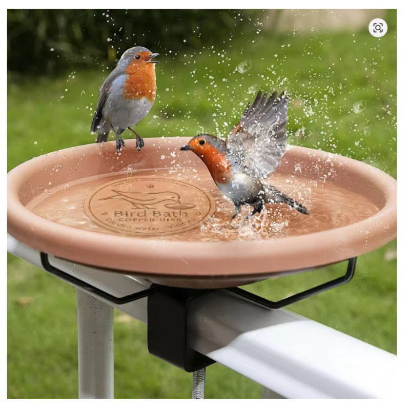 Disco purificador de cobre para baño de aves – Bandeja metálica - imagen 5