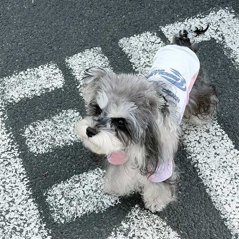 Camiseta deportiva transpirable para perros pequeños, holgada y cómoda - imagen 2
