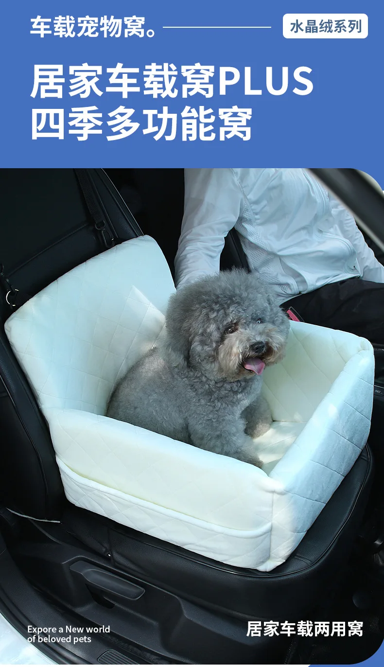 Foto en coche con nido