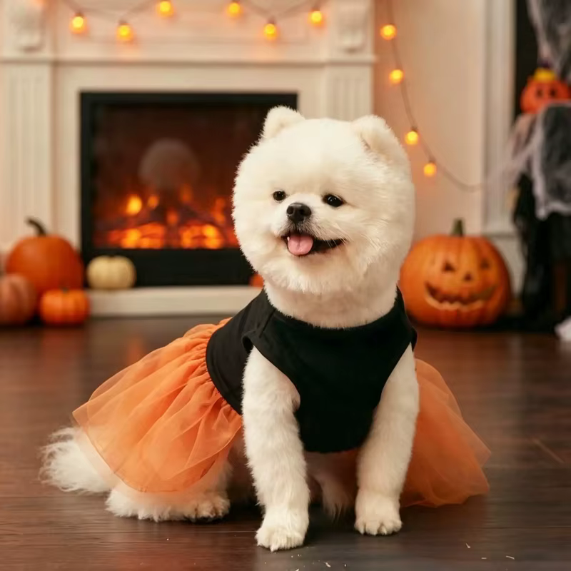Vestido de Halloween para perro pequeño y mediano con diseño de calabaza - imagen 3