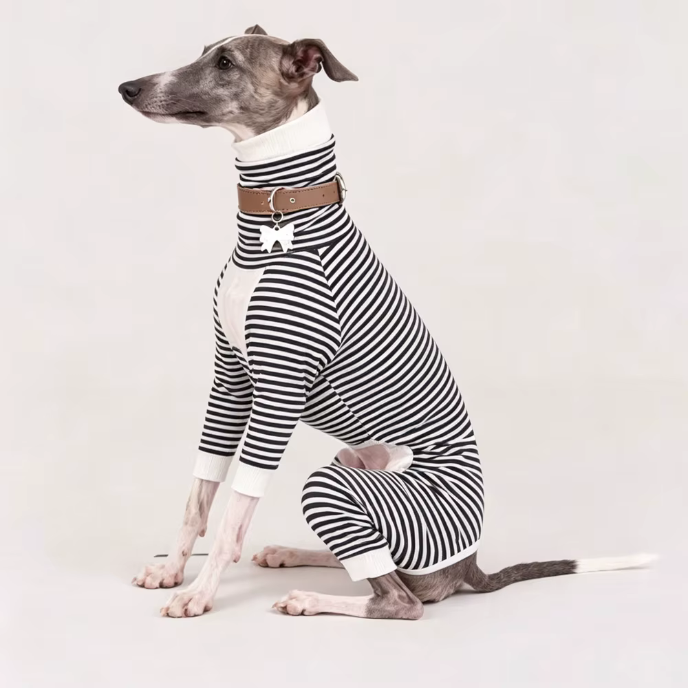 Sudadera a rayas para galgo y whippet cuello alto - imagen 5