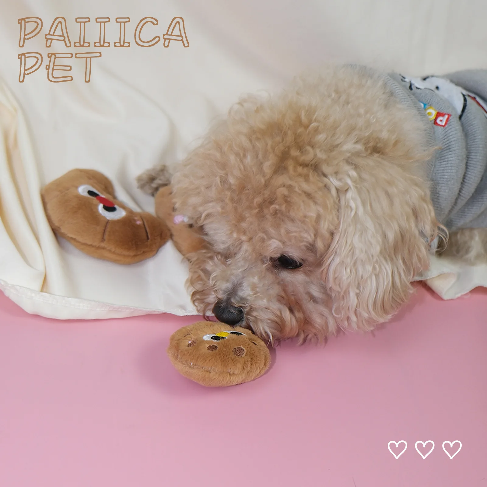 Perro interactuando con el juguete de peluche