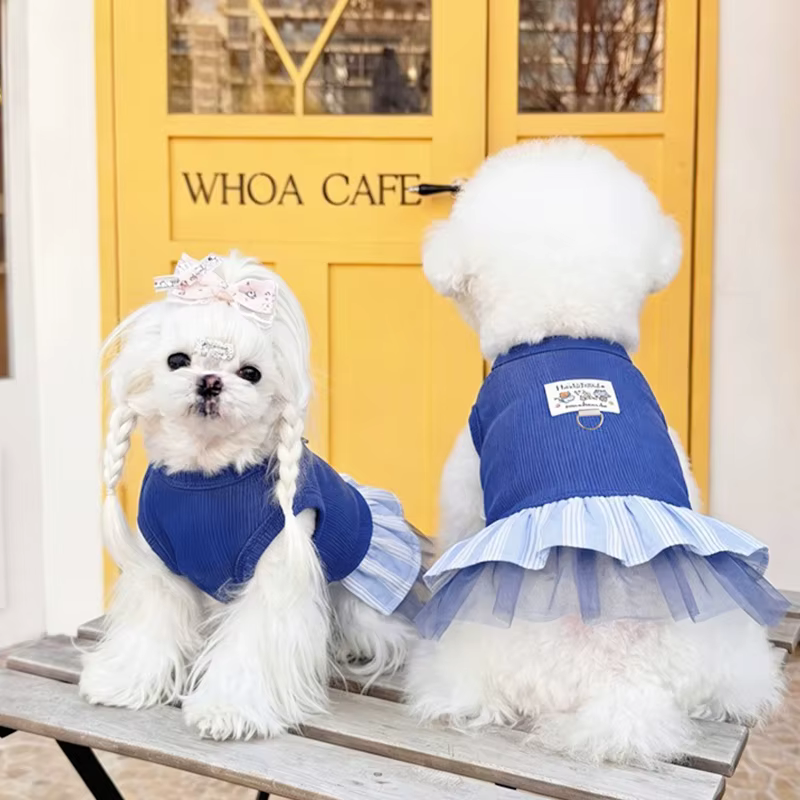 Vestido de verano con encaje para perros y gatos – Chihuahua y Yorkie