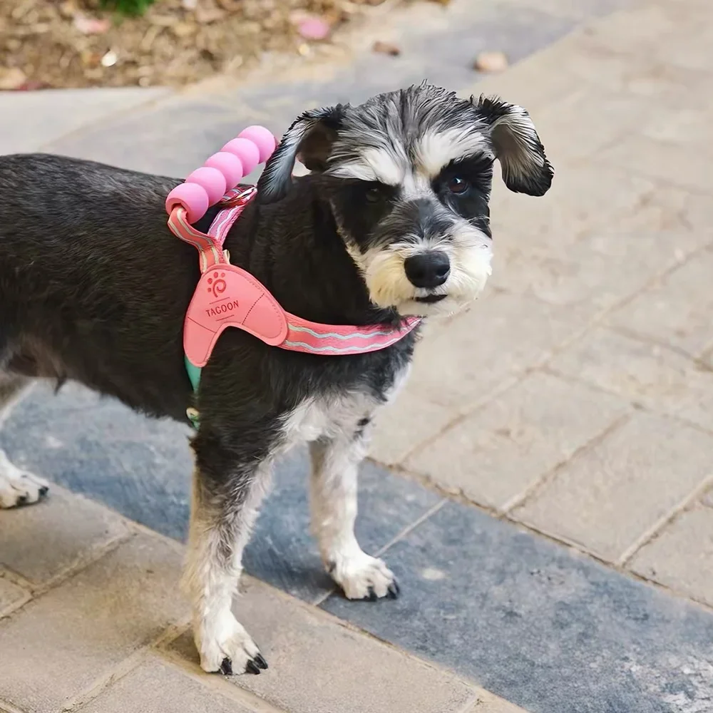 Cuidado del arnés para perro