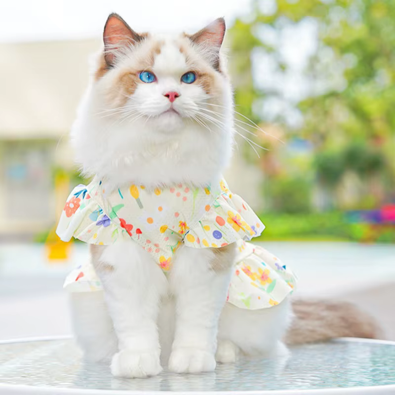 Vestido de verano con volantes, falda para perros Bichón y gatos - imagen 4