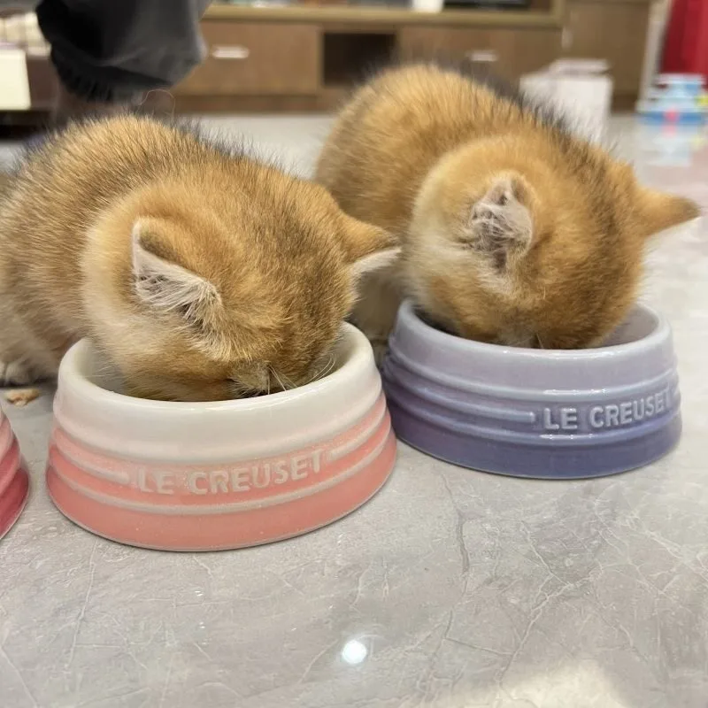 Cuenco cerámica elevado para gatos y perros – Base ajustable antideslizante - imagen 3