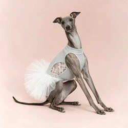 Vestido de ballet para Whippet y Bedlington, falda encaje sin mangas