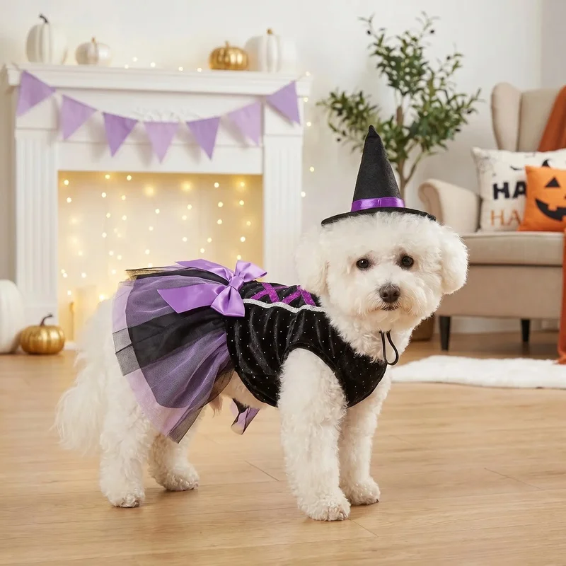 Disfraz Bruja Halloween para Perro y Gato – Tutú y Sombrero