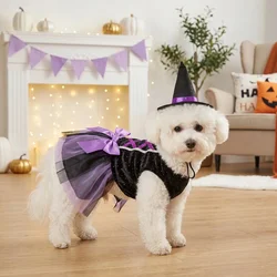 Disfraz Bruja Halloween para Perro y Gato – Tutú y Sombrero