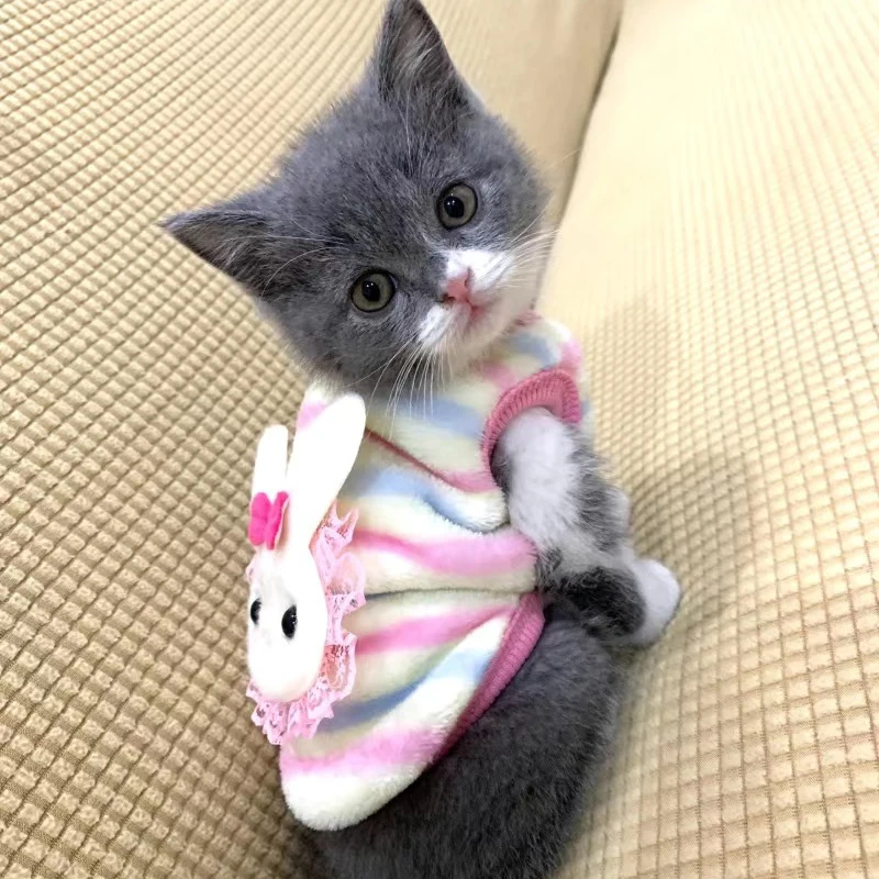 Chaleco de felpa para mascota en color azul suave