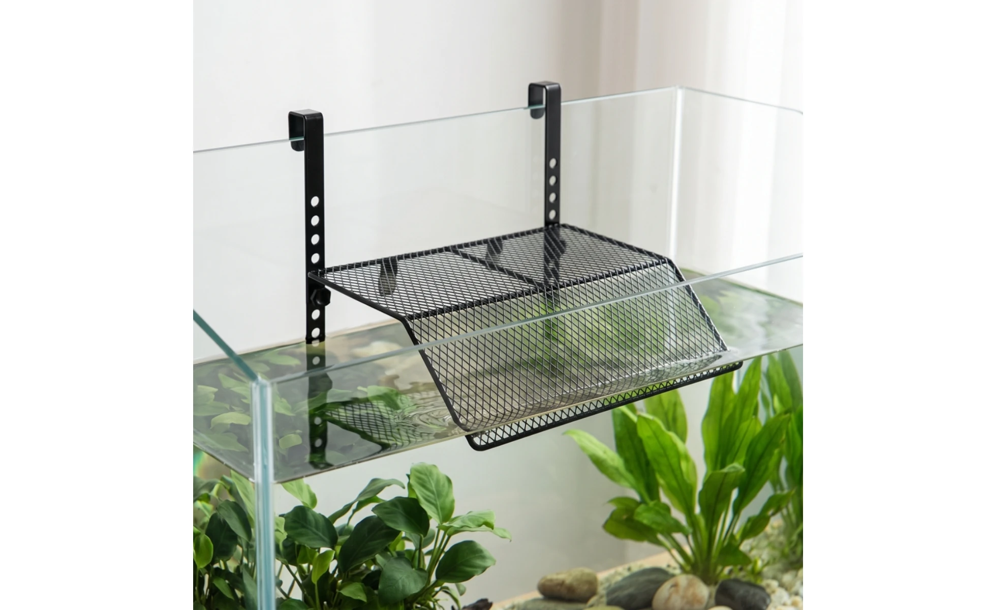 Plataforma para reptiles resistente