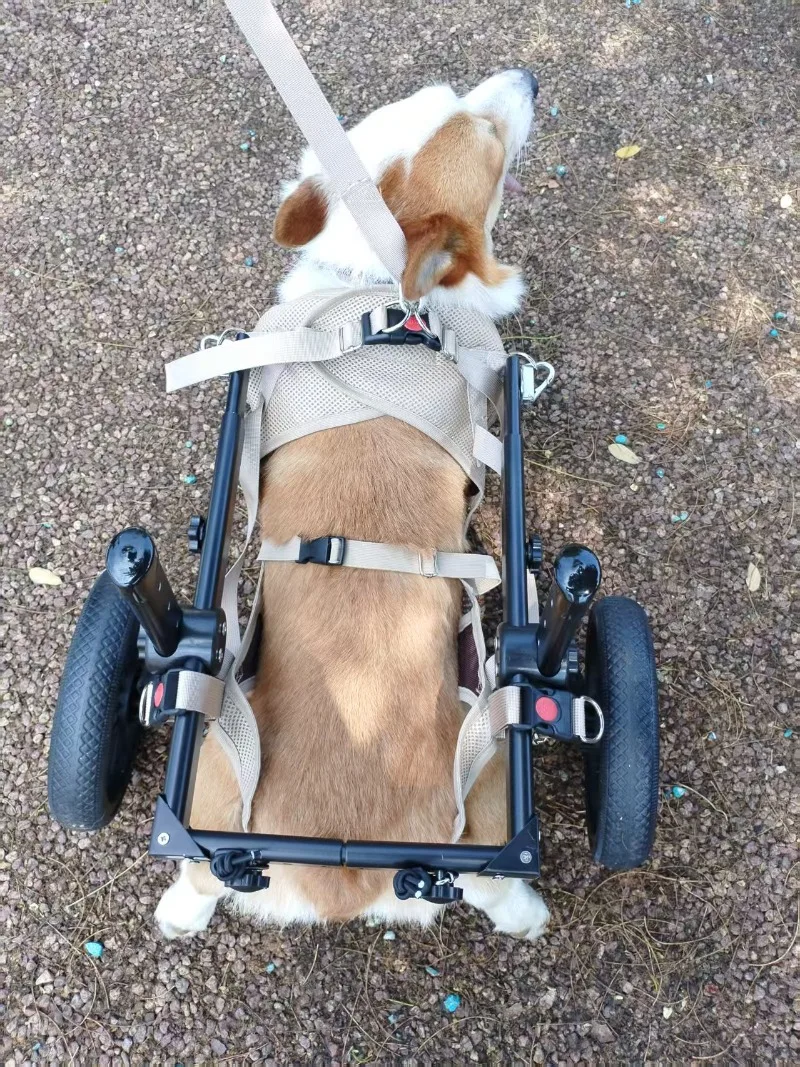 Detalle del soporte para patas traseras