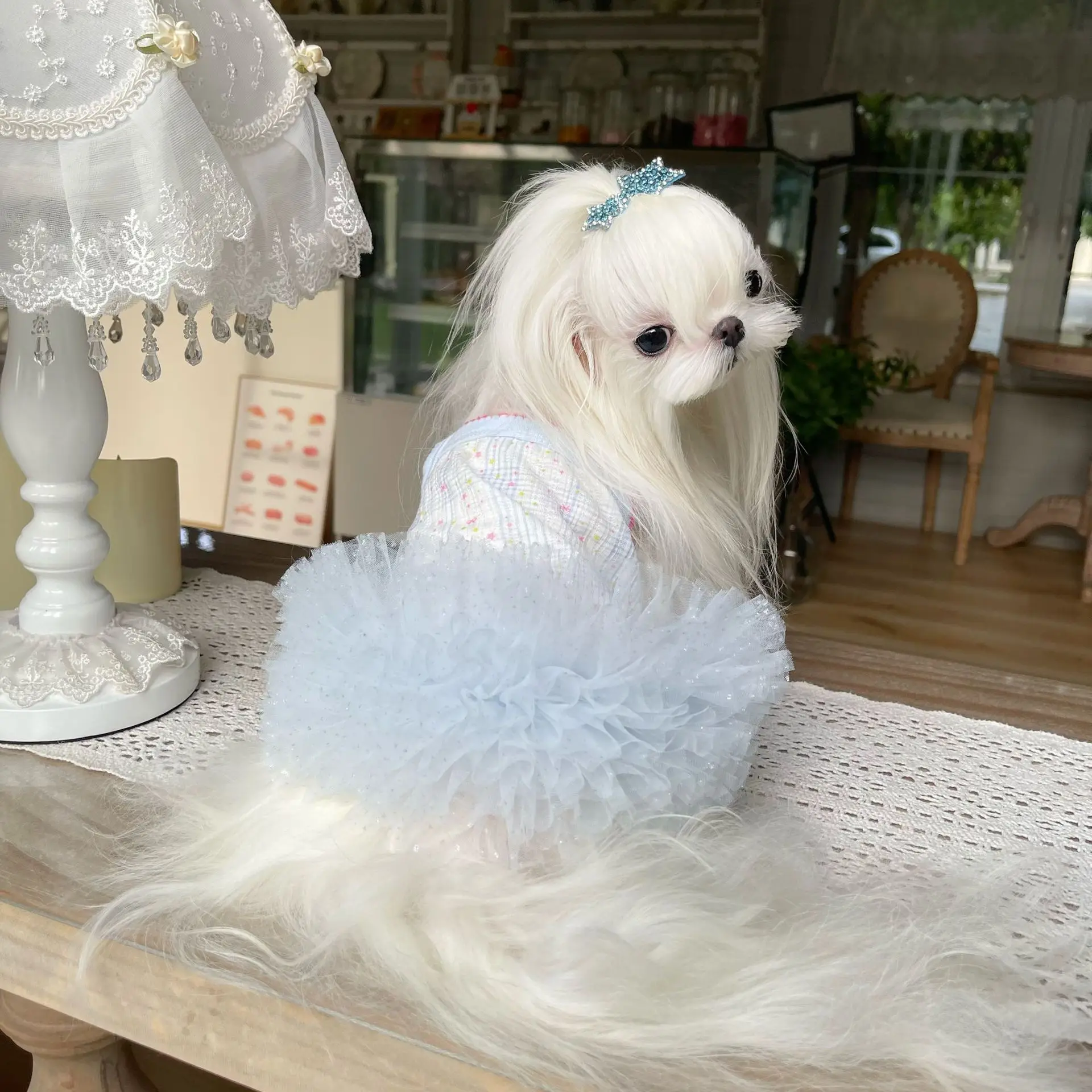 Perro usando el chaleco de malla en posición de descanso