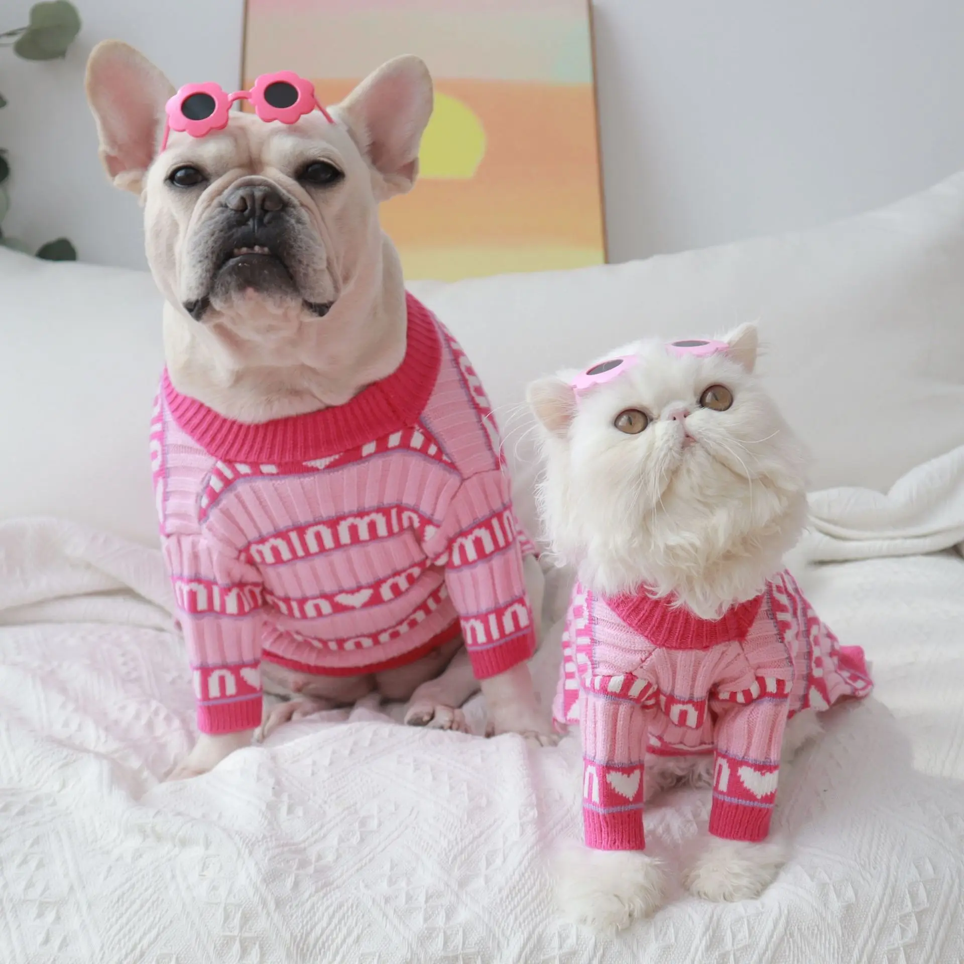 Gafas de sol para mascota — diseño girasol