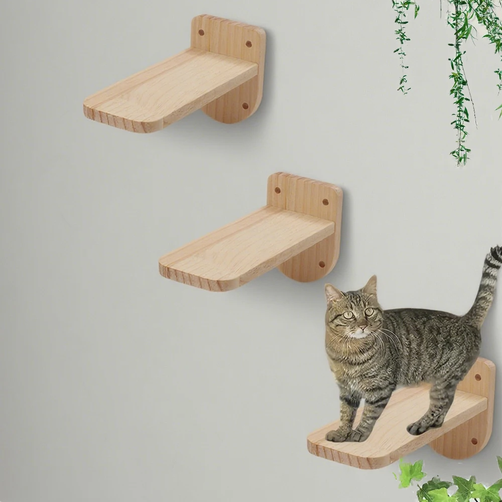 Gato explorando un escalón